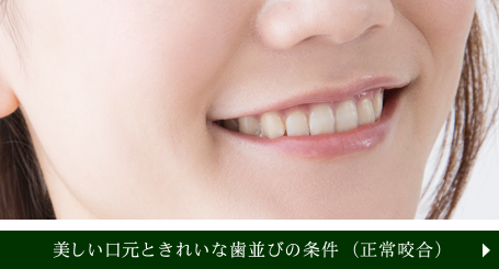 美しい口元ときれいな歯並びの条件（正常咬合）